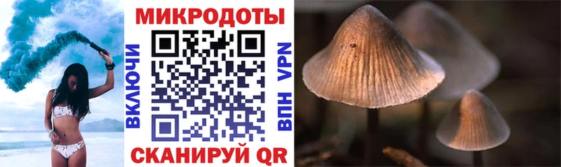 продажа наркотиков  Миасс  Галлюциногенные грибы мицелий 